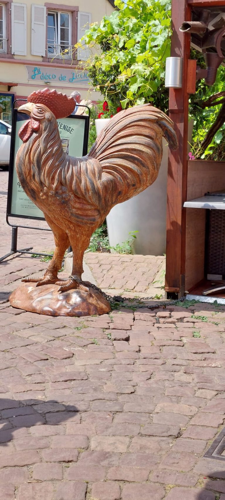 IMG 20230610 WA0008 768x1704