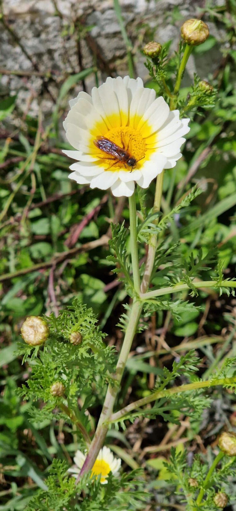 155aaf76 d18e 4fce addb 482cf7204449 768x1662