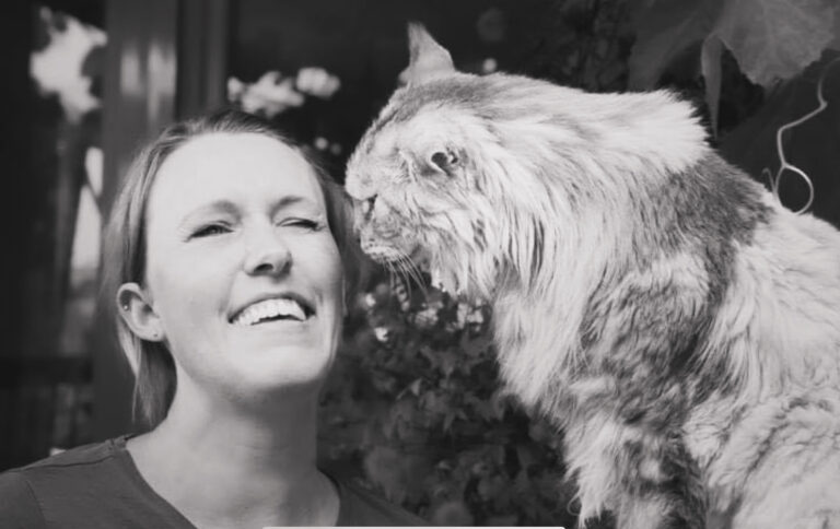 193B2CA8 78BC 434D A0A0 5EAF0A101DCF 768x484