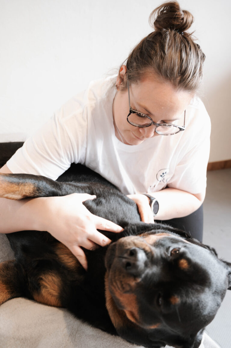 36 Nadine Rall Fotografin Reutlingen und Umgebung 36 768x1154