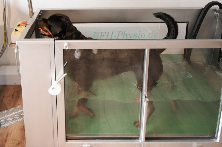 84 Nadine Rall Fotografin Reutlingen und Umgebung 84 768x511