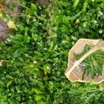 Bild von Marion Gostner